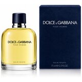 D&g Toaletna voda Eau de Toilette für Herren 75 ml Cene