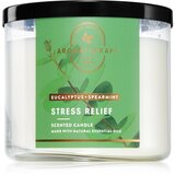 Bath & Body Works Eucalyptus Spearmint mirisna svijeća Stress Relief 411 g Cijene