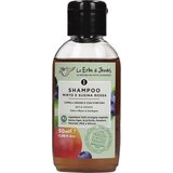 Le Erbe di Janas Šampon proti prhljaju mirta in sliva - 50 ml Cene