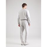 Adidas Športne hlače svetlo siva / bela | Shoptok.si