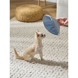 Sinsay Zaštitni ovratnik za psa | shoptok.hr