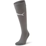 Športne nogavice Team Liga Socks Core Siva