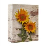  Foto album Flower 5, 304 slike | shoptok.hr