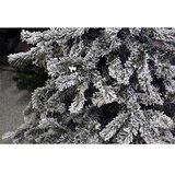  Novogodišnja jelka Kraljevska snežna jela 150cm 21438 | Eponuda.com