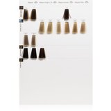 L´Oréal Paris Majirel barva za lase odtenek 5.1 Light Ash Brown 50 ml | Shoptok.si