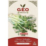 Bavicchi Bio kalčki "detelja" - 50 g Cene