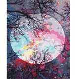  Slika za samostalno slikanje - Magical moon 40x50 | shoptok.hr