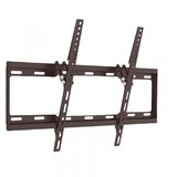 Xstand nosač za TV/ 37''- 70''/TILT/NAGIB 0°-10°/VESA do 600x400/težina do 50kg/2.5cm od zida/crn Cene