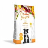 CALIBRA Dog Verve GF Adult Medium Piletina & Pačetina, hrana za pse 2kg Cene