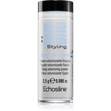 EchosLine Styling matirajoči puder za volumen za lase 2,5 g