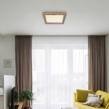 Globo LED stropna svjetiljka Branza (24 W, Raznobojno, Smeđa, D x Š x V: 40 x 40 x 6,5 cm) | shoptok.hr