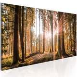  Slika - Small Natural Wonders 150x50 | shoptok.hr