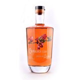 Salaški san Rakija Dunja barrique 43% vol, 700ml Cene