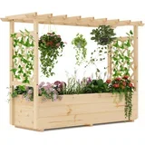 Rastlinjak z rešetko in nadstreškom za plezalne rastline Pergola, (5000198558)