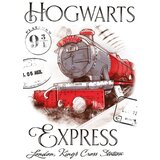 Darymex Brisača za vrtce 30x50 Harry Potter Express, (22025222) | Shoptok.si