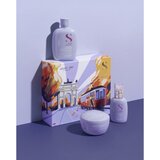 ALFAPARF MILANO Semi di Lino Smooth poklon set za neposlušnu i anti-frizz kosu 3 kom | shoptok.hr