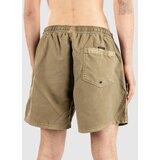 Quiksilver Everyday Surfwash Volley 15 Boardshorts aloe | Shoptok.si