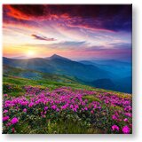  Slike na platnu slovačka (moderne slike na platnu) | ePonuda.com