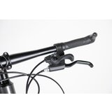Winner Bike bicikla 29"/21 maximus grey ( BCK0953 ) | Eponuda.com