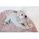 Lorena Canals Okrogla preproga iz bombaža - ABC - Vintage Nude | Shoptok.si
