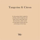 WoodWick Tangerine & Citron dišeča sveča z lesenim stenjem 453.6 g | Shoptok.si