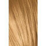 Schwarzkopf igora Royal Absolutes - 9-50 ekstra svetlo blond zlata natur, 60 ml | Shoptok.si