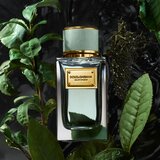Dolce & Gabbana Velvet Infusion Eau de Parfum parfumska voda uniseks 100 ml | Shoptok.si