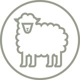 Linea Natura OVČJA KOŽA | Shoptok.si