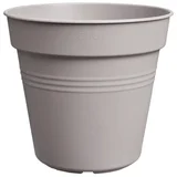 basics lonec za rastline "lila" - 30 cm