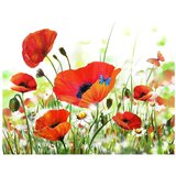  Tapeta - Country poppies 200x154 | shoptok.hr