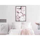  Poster - Girly Dream 40x60 | shoptok.hr