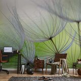  Foto tapeta - Fleeting moments 294x210 | shoptok.hr