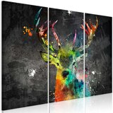  Slika - Rainbow Deer (3 Parts) 120x80 Cijene