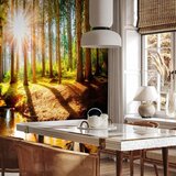  Foto tapeta - Marvelous Forest 200x140 Vodootporna | shoptok.hr