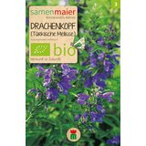 Samen Maier BIO Moldavian dragonhead | Shoptok.si