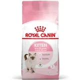 briketi za mačke rc felin kitten 2 kg