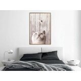  Poster - Piercing Look 40x60 | shoptok.hr