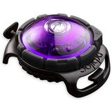 Orbiloc LED lučka za ovratnico Purple - | Shoptok.si