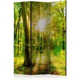  Paravan - Forest Rays | shoptok.hr