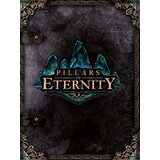 Steam Pillars of Eternity (Hero Edition) (PC) Key EUROPE | ePonuda.com