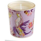 Goldbuch mirisna svijeća Turnowsky Insignia, aroma English Roses Slike