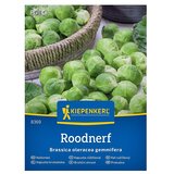 KIEPENKERL Zelenjavna semena Brstični ohrovt Roodnerf (Brassica oleracea var. gemmifera, Čas žetve: Oktober) | Shoptok.si