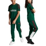 Adidas majice za dečake j np tiro pant IW0900 Cene