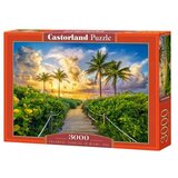 Castorland puzzle od 3000 delova Colorful Sunrise In Miami C-300617-2 Cene'.'