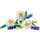 Botanical Collection - Ivančice (11508)