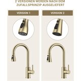 DAYONE zlata izvlečna kuhinjska armatura s 3 funkcijami curka | Shoptok.si