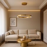 Toolight LED svijetiljka LHJ051-CP1 C BRUSH GOLD | shoptok.hr