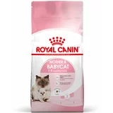 Royal Canin Mother & Babycat - Varčno pakiranje: 2 x 10 kg