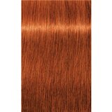 Schwarzkopf IGORA Royal boja za kosu nijansa 7-77 Medium Blonde Copper Extra 60 ml | shoptok.hr