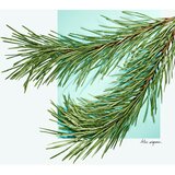 Tiffany & Co. Tiffany & Love 50 ml toaletna voda za muškarce | shoptok.hr